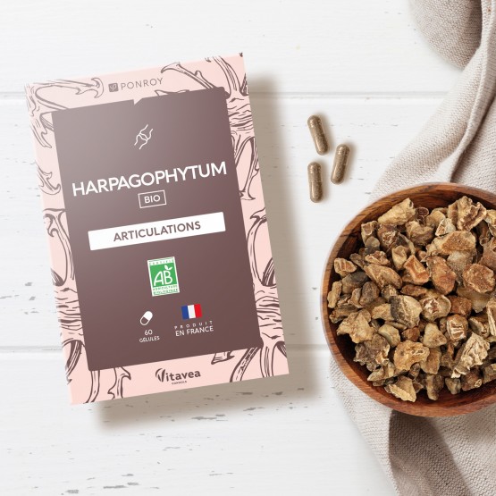Harpagophytum Bio